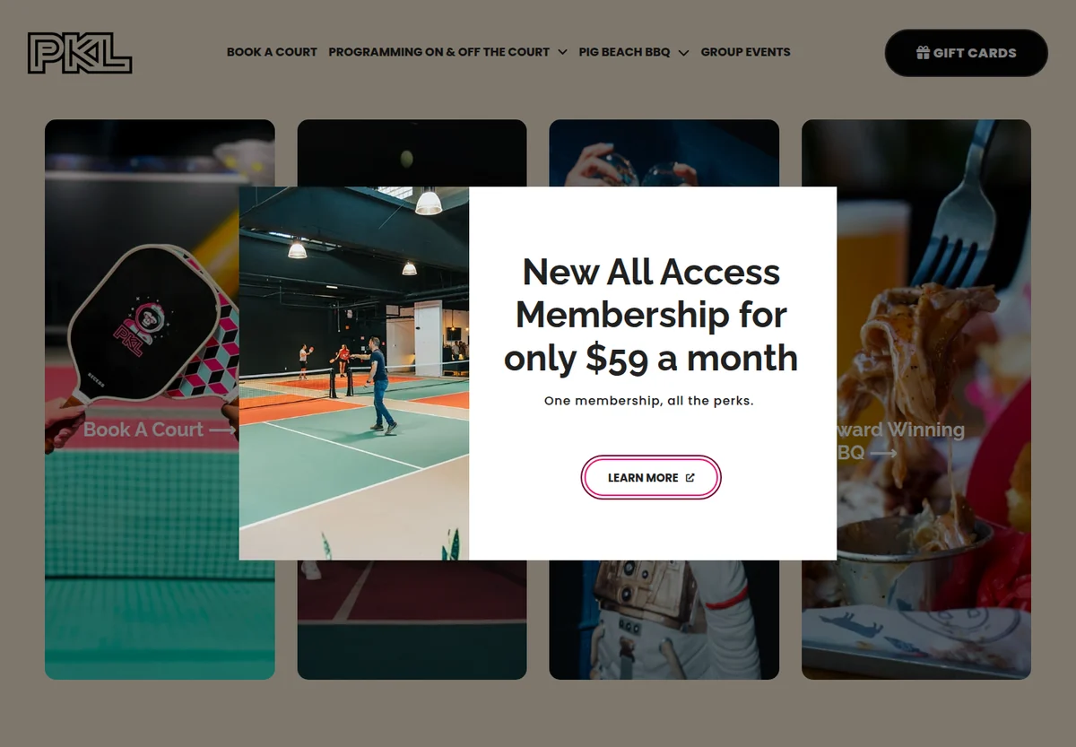Play PKL homepage screenshot